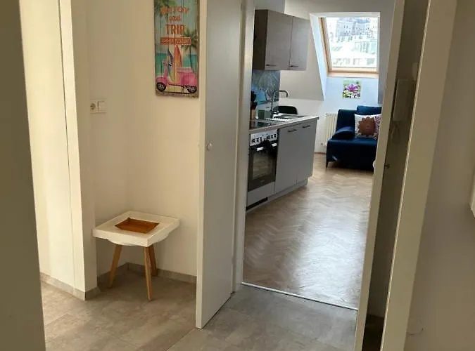 Klimatisiertes Dachgeschoss In Zentrum Wiens Apartment