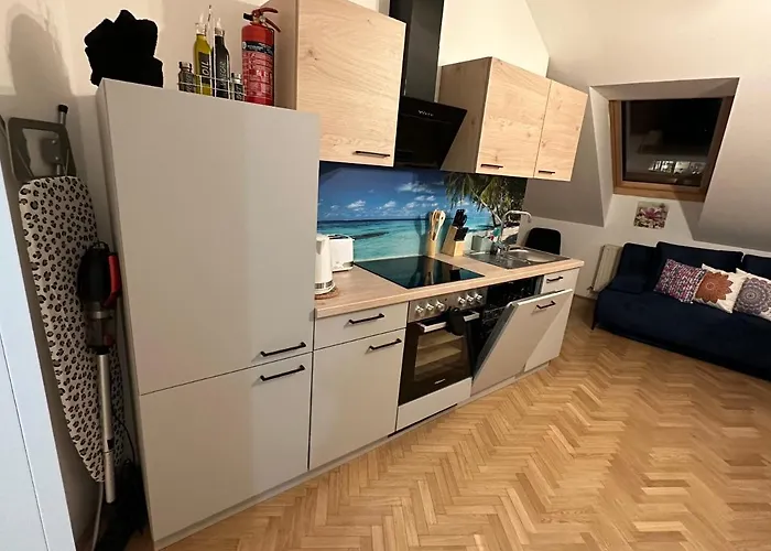 Apartment Klimatisiertes Dachgeschoss In Zentrum Wiens