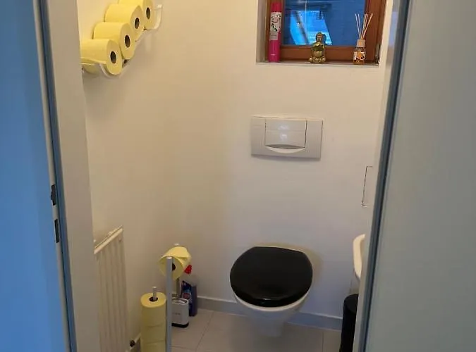 Apartment Klimatisiertes Dachgeschoss In Zentrum Wiens *
