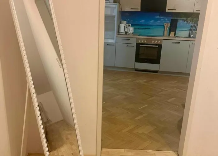 Apartment Klimatisiertes Dachgeschoss In Zentrum Wiens
